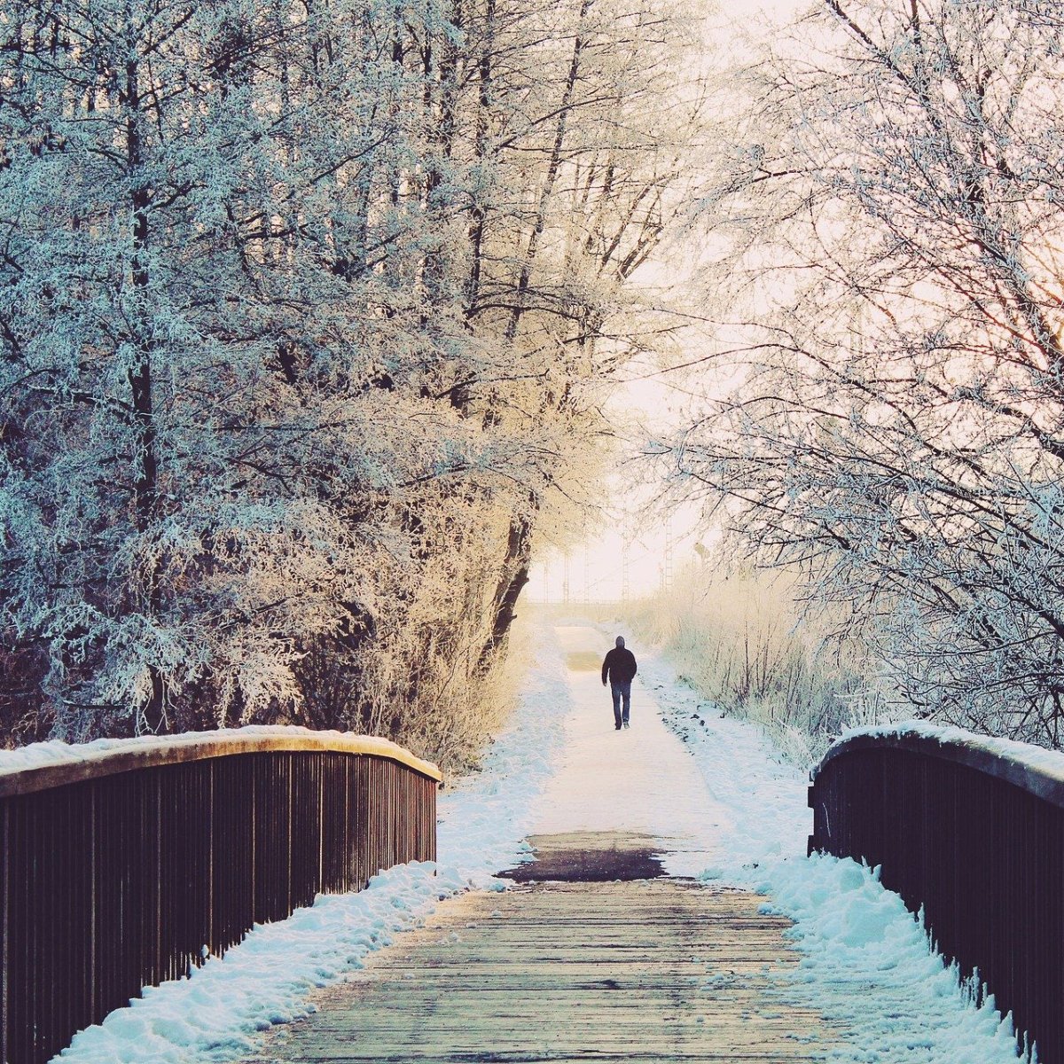 Kalte Ohren im Winter Wonderland. - MALA - The Concept Store